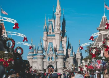 Castle of Disney