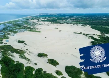 Carteira de Trabalho Fortaleza Onde Tirar Guia Completo