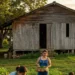 Programa Fomento Rural: Caminho para a Autonomia e Sustentabilidade no Campo”