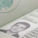 Como tirar seu passaporte brasileiro: guia prático para te ajudar